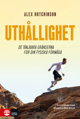 Uthållighet