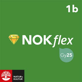 NOKflex Matematik 1b