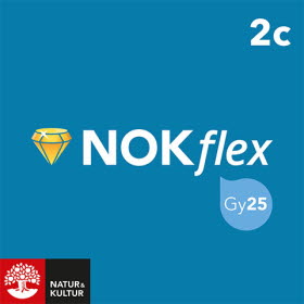 NOKflex Matematik 2c