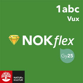 NOKflex Matematik 1abc Vux